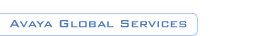 Avaya Global Services